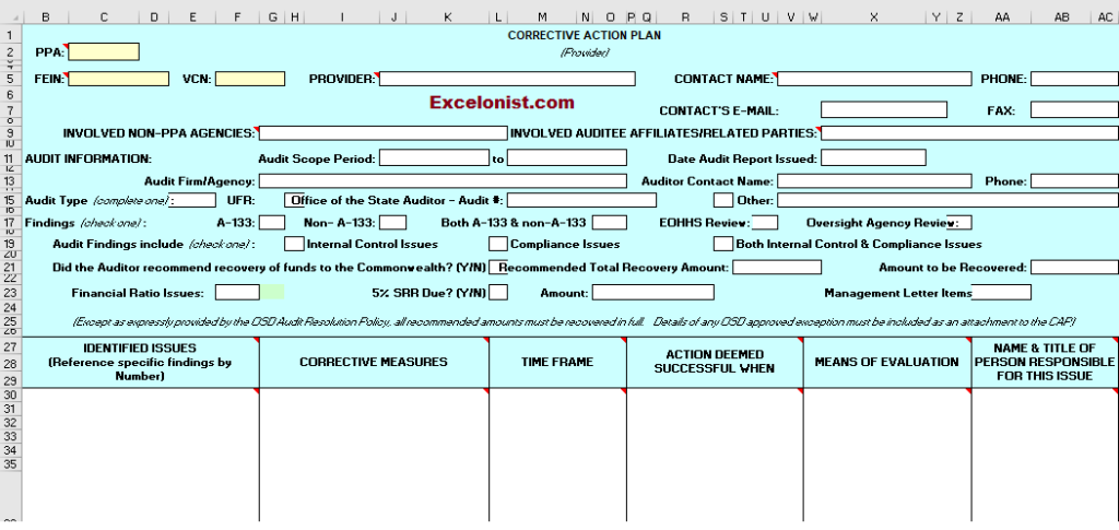 Corrective Action Plan Template